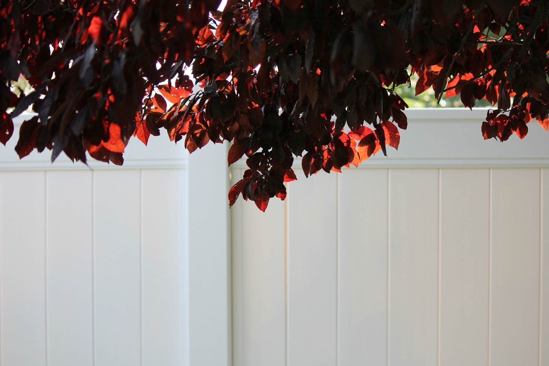 How to Choose From Different Types of Vinyl Fence Gates